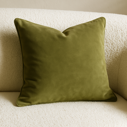 Velvet throw pillows