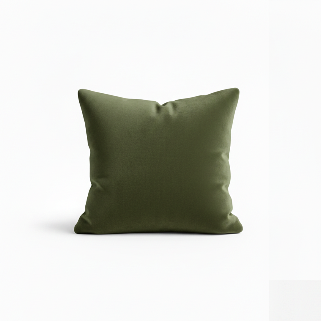 Velvet throw pillows