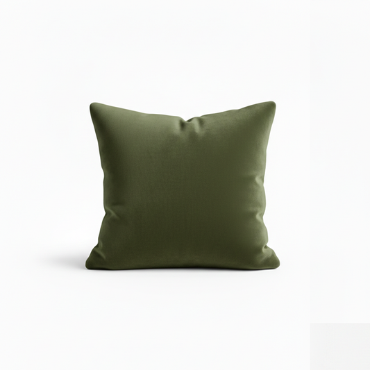 Velvet throw pillows